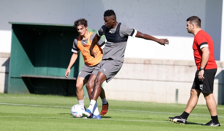 الدحيل القطري