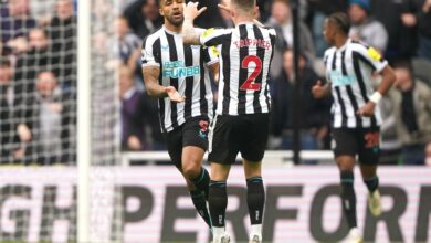 بالفيديو.. نيوكاسل يونايتد يواصل توهجه بفوز عريض على ساوثهامتون 3-1 بالدوري الإنجليزي
