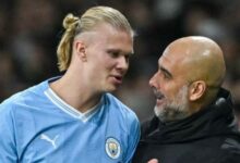 جوارديولا وهالاند