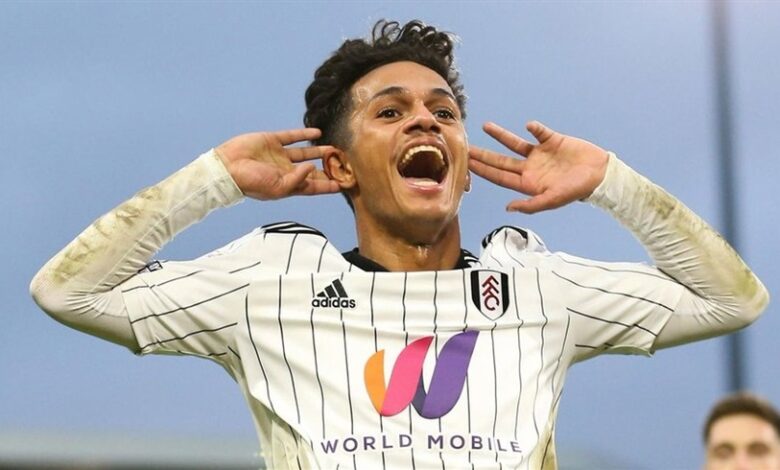 تغريم فولهام 75 ألف جنيه إسترليني بسبب التعاقد مع فابيو كارفاليو