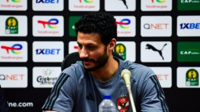 محمد الشناوي