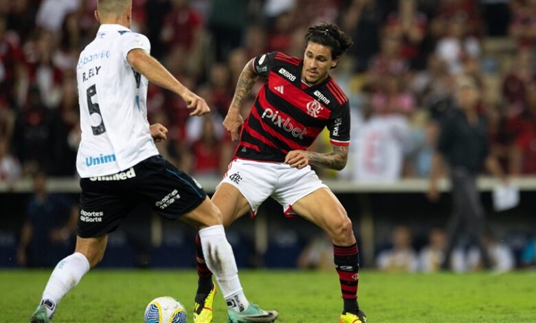 فلامنجو وباهيا يتقاسمان صدارة الدوري البرازيلي